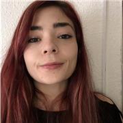 Clases particulares de arabe para principiantes